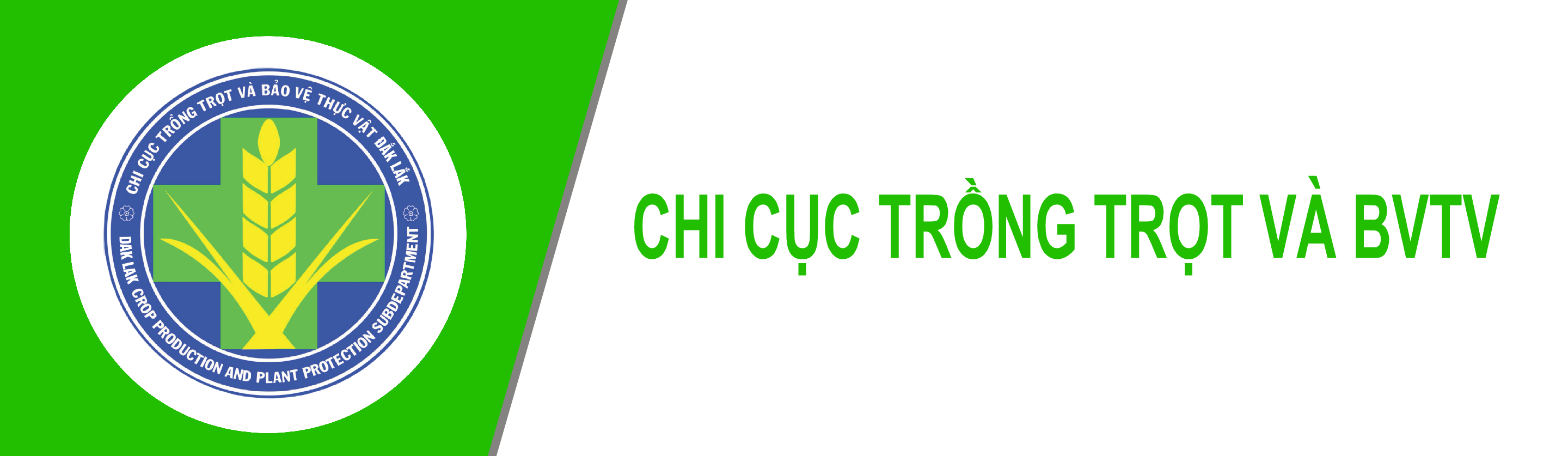 Văn bản QPPL